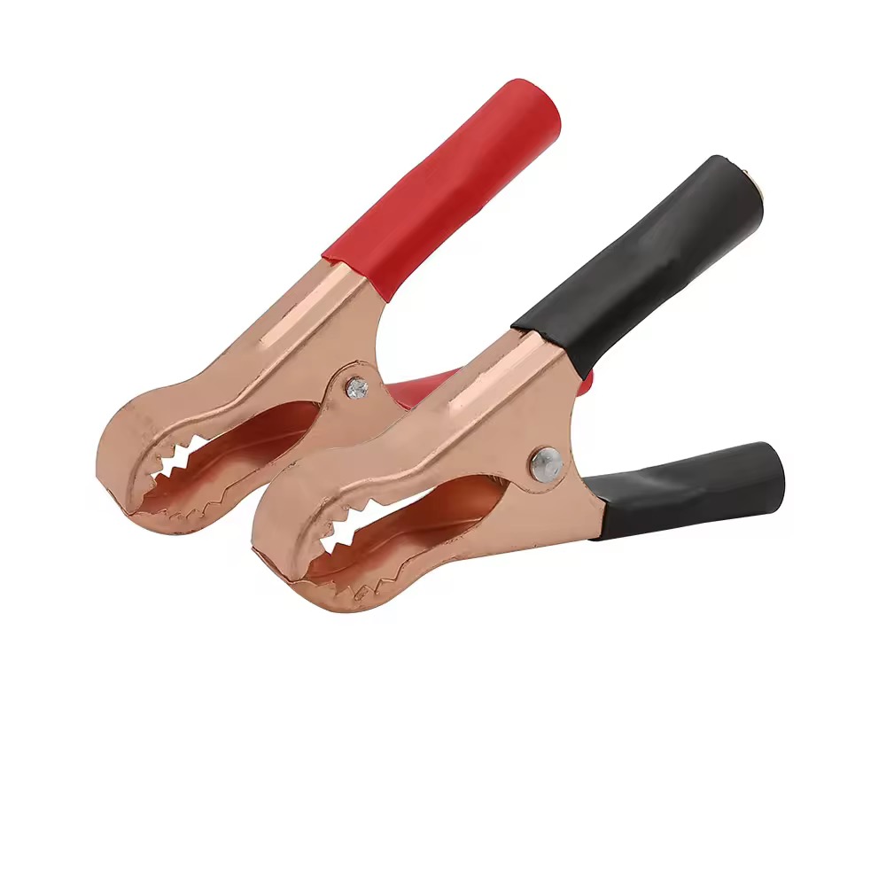 ក្រចាប់ក្បាលអាគុយ