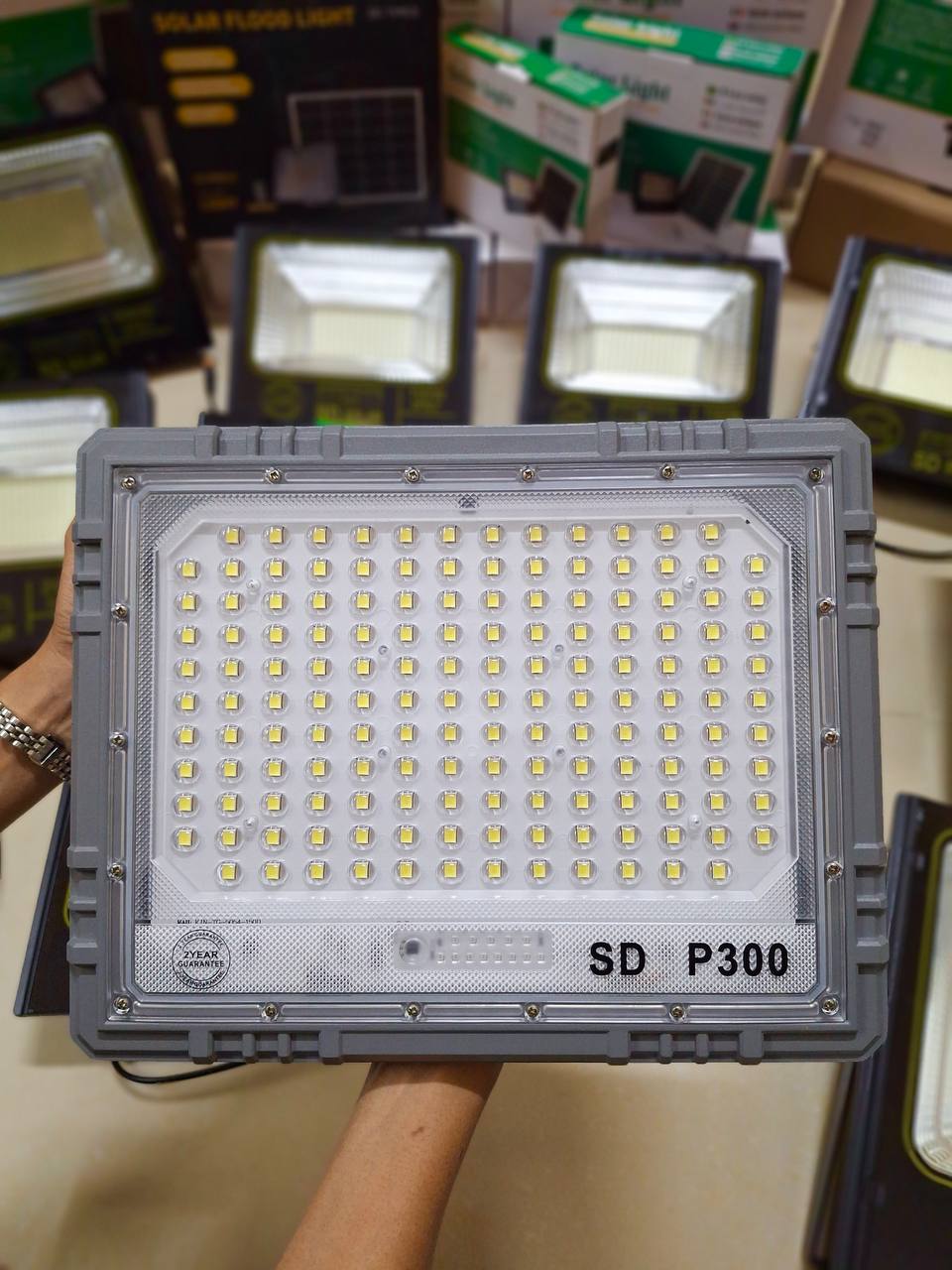 អំពូលសូឡាគុជភ្នែកកង្កែប (P300)