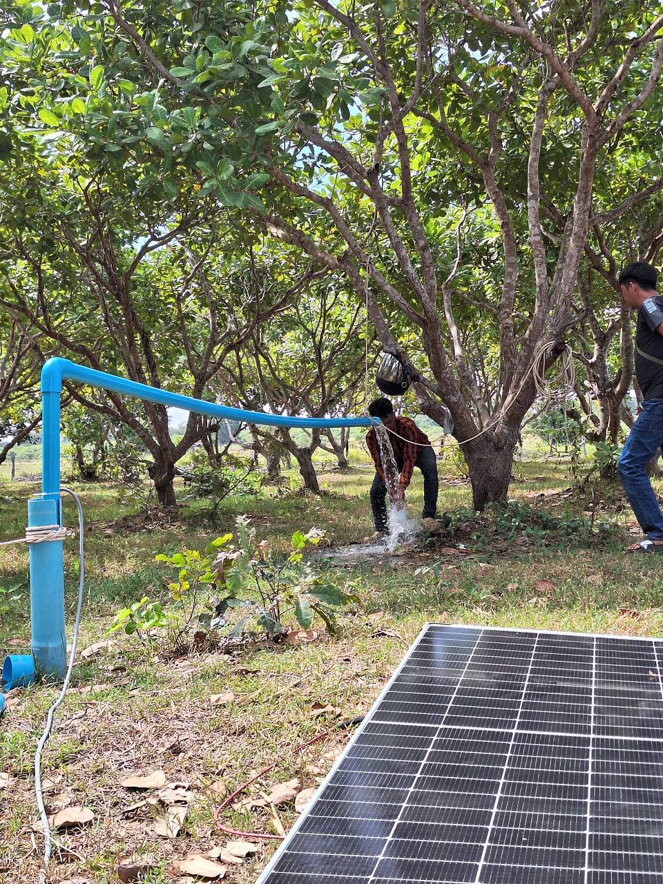 ២សេះបូមអណ្តូង ជម្រៅ60m_12m³/h ឈុតម៉ូទ័រសូឡាទុយោ60